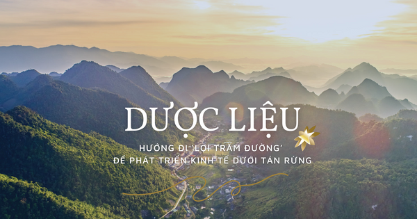 BẢN KẾ HOẠCH 265 NGÀY ĐỂ ĐẠT 26 TỶ DOANH THU VỚI DẦU GỘI DƯỢC LIỆU NÚI